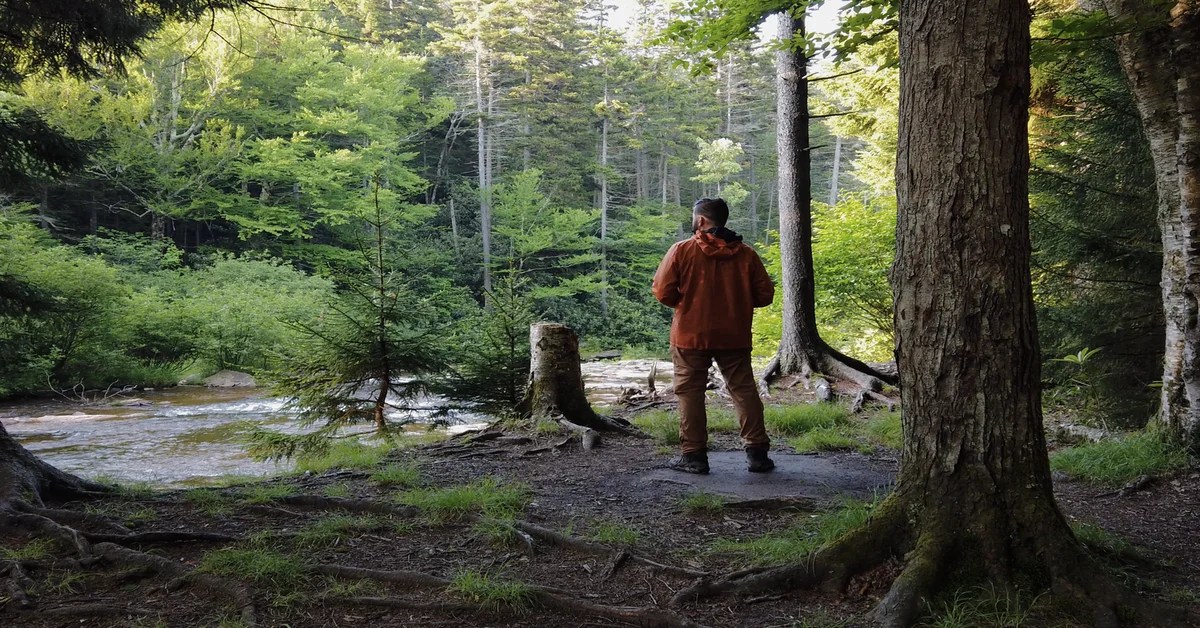 Exploring the Wilderness Outdoor Activities at Long Point Adventure in